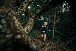 BIB: 
                            <button type="button" onclick="openModal(25704196)" class="btn btn-primary btn-sm float-right btn-popup" data-toggle="modal" data-target=".modal-high-quality">
                        <i class="fas fa-shopping-cart"></i> Add to Cart
                    </button>
                                            <button type="button" onclick="isThisMe(25704196, true)" class="btn btn-success btn-sm float-right btn-popup btn-isme hidden" data-toggle="tooltip" data-placement="bottom" title="นี่คือรูปของคุณใช่ไหม คลิกที่นี่เพื่อเอาเข้าอัลบั้ม">
                        <i class="fas fa-plus"></i> Add to album
                    </button>
                    <button type="button" onclick="isThisMe(25704196, false)" class="btn btn-warning btn-sm float-right btn-popup btn-isnotme hidden">
                        <i class="fas fa-ban"></i> Remove from album
                    </button>